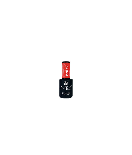 P2075 - Dance Salsa